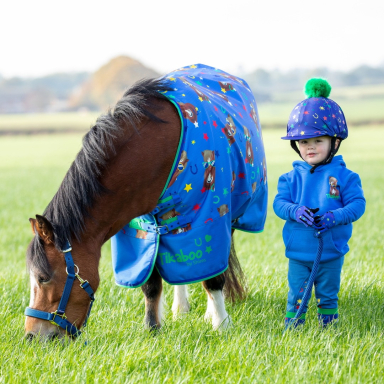 Shires Tikaboo 100 Turnout Rug (RRP Â£55.99)